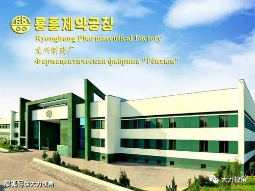 朝鮮龍興制藥廠 華峰產品介紹與朝鮮正規醫藥產業一瞥